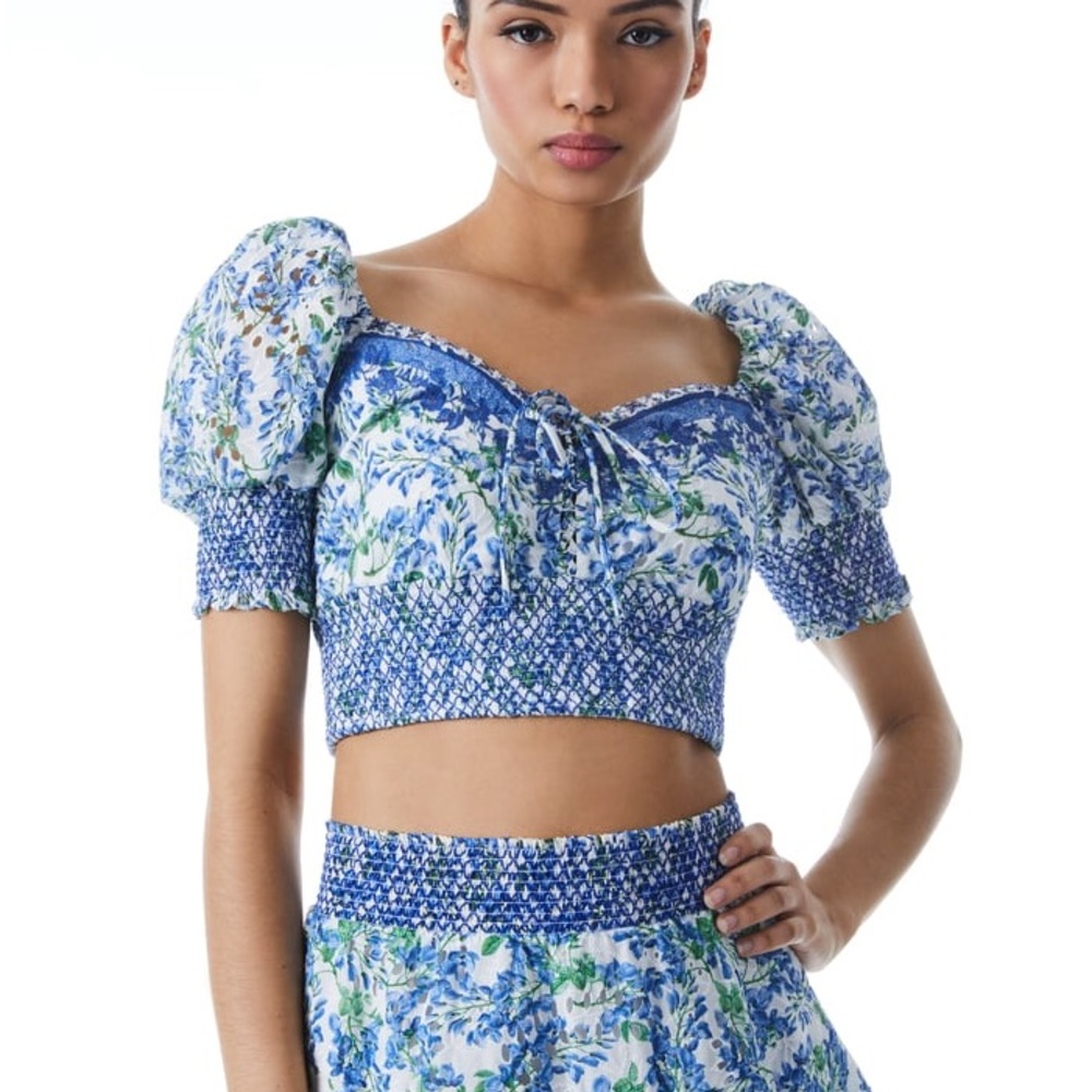 Alice + Olivia Blue Smocked Tie Front Crop Top